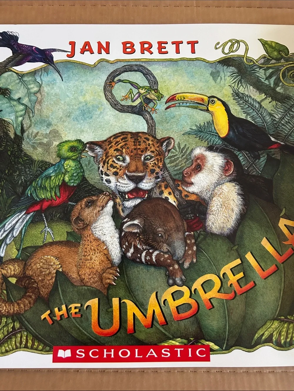 Scholastic Classroom Big Book- The Umbrella